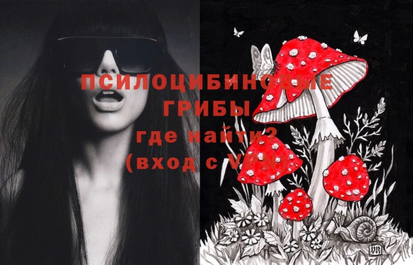 мет Нефтекумск