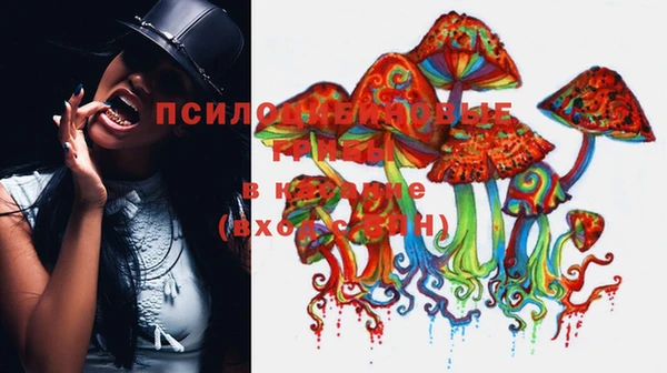 мет Нефтекумск