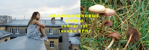 бутират Надым