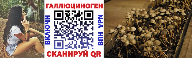 Псилоцибиновые грибы прущие грибы Купить Благовещенск